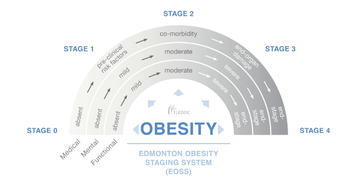 Edmonton obesity