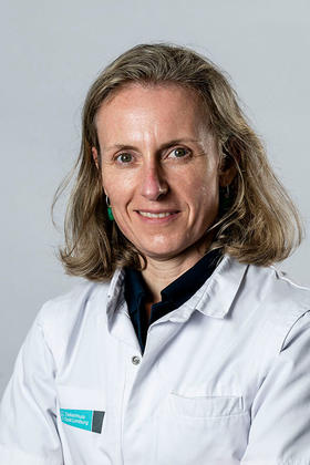 Dr. Liesbeth Meylaerts